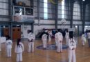 Monte Hermoso fue sede de la Clase Técnica de Taekwondo ITF
