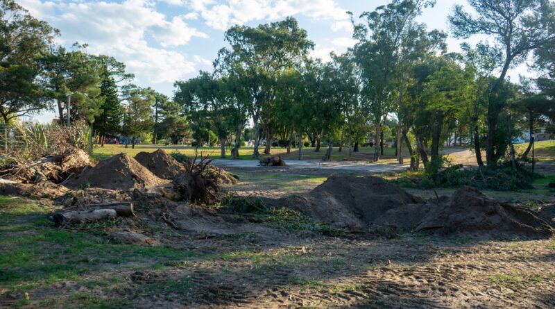 Comenzó la primera etapa del nuevo paseo de artesanos