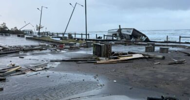 Se realizan tareas de limpieza y recolección tras el fuerte temporal que afectó a la ciudad