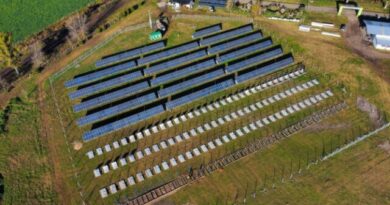 La Provincia avanza con la construcción de 8 nuevos parques solares