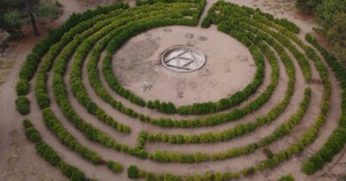 Monte Hermoso impulsa la puesta en valor del Laberinto Vegetal