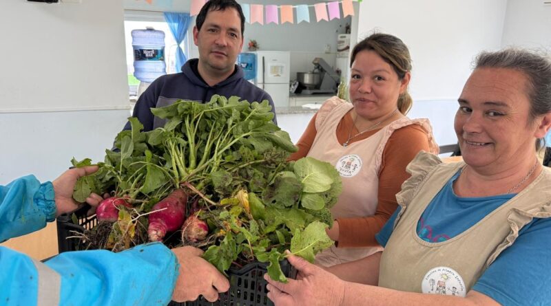La huerta municipal cosechó alimentos y los distribuyó entre comedores locales